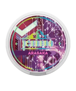 Iceberg Arasaka